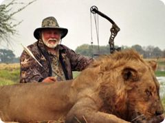 Bill Wilkinsons Zambian Lion