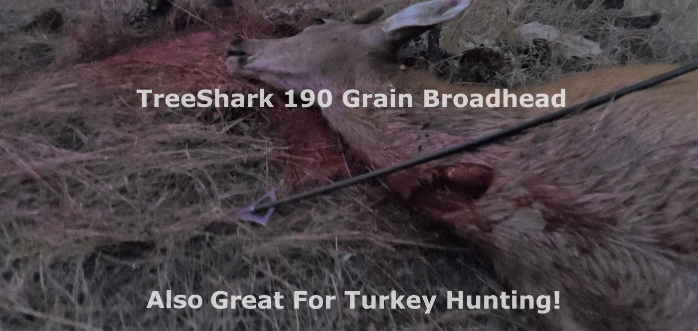 190 grain TreeShark was used to harvest this young Buck - Also available in a 165 grain Glue-on.